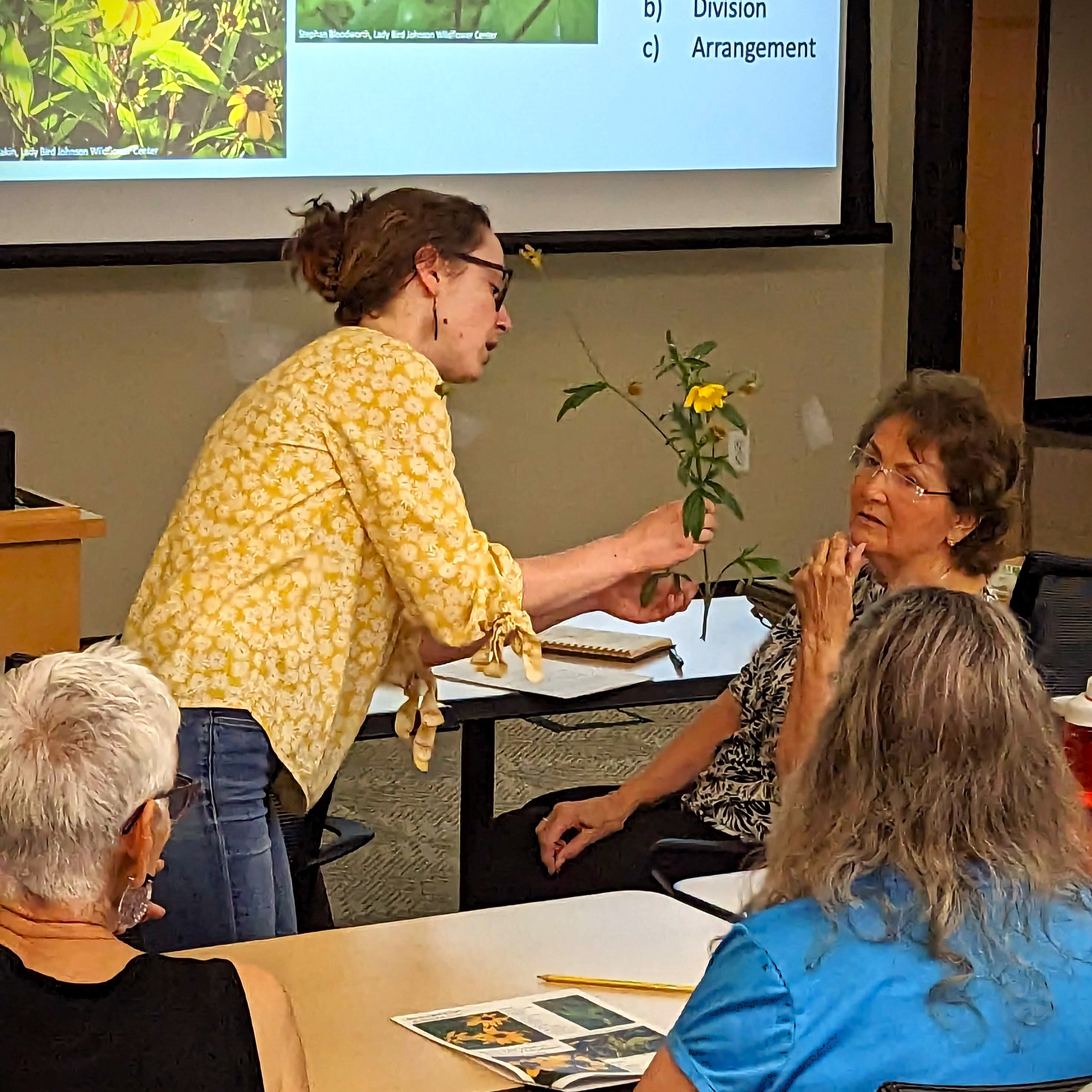 OLLI Graduate Teaching Fellow showing a student some prairie flowers
