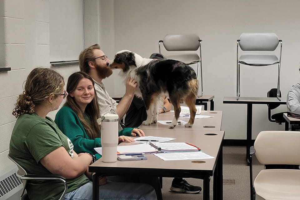 A group of prospective adopters participating in the AABP behavioral training for adopters.