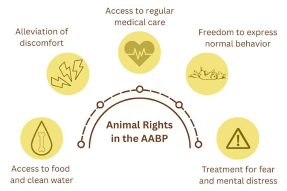 A visual representation of five core animal rights inspired by the Farm Animal Council’s Five Freedoms.