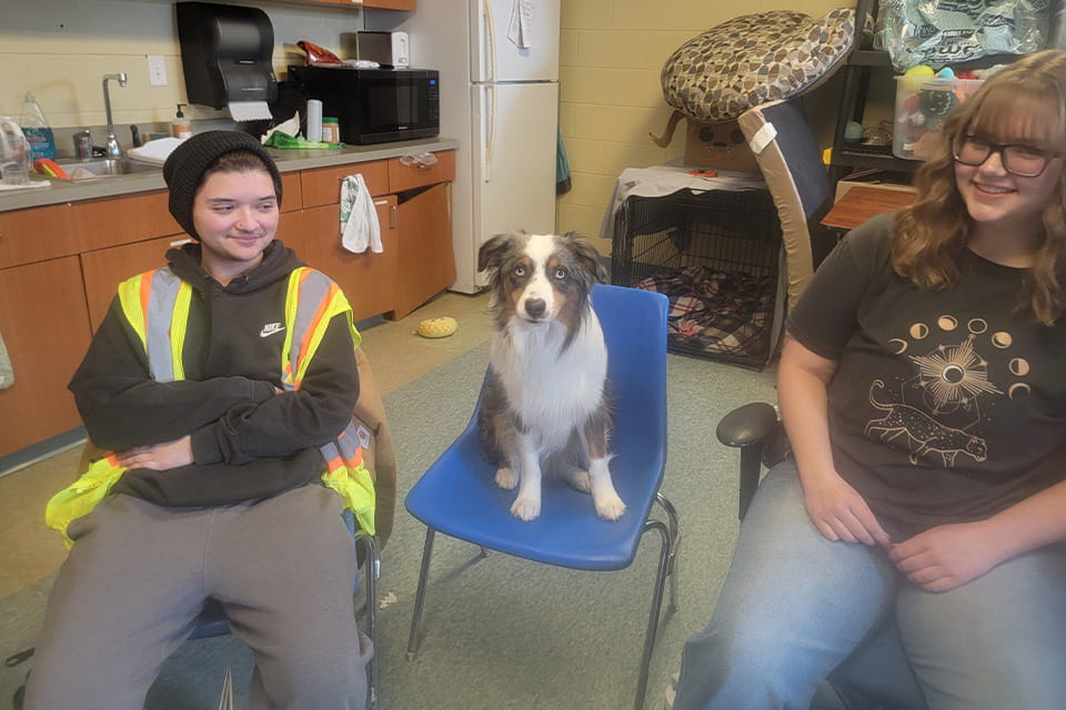 Students sitting in chairs with the AABP dog sitting in between them also on a chair.
