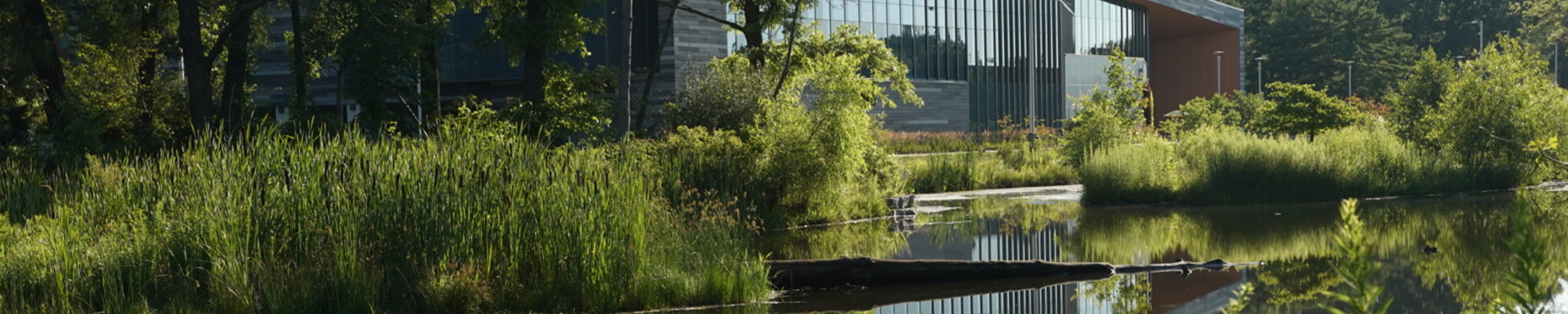 Serene scene of a pond and building on campus in the full July foliage. 