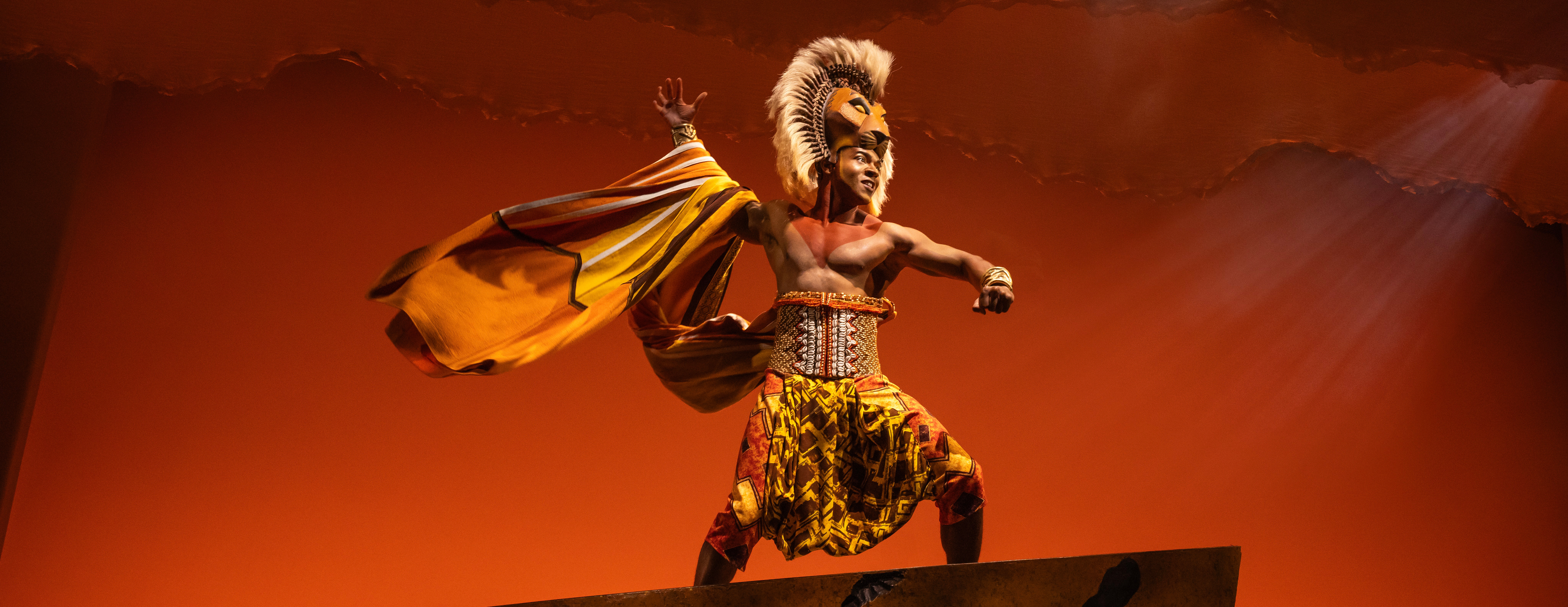 Lion King's Simba photographed by Andrew Bourland 