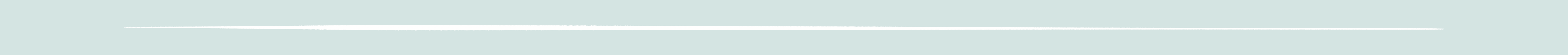 White line border