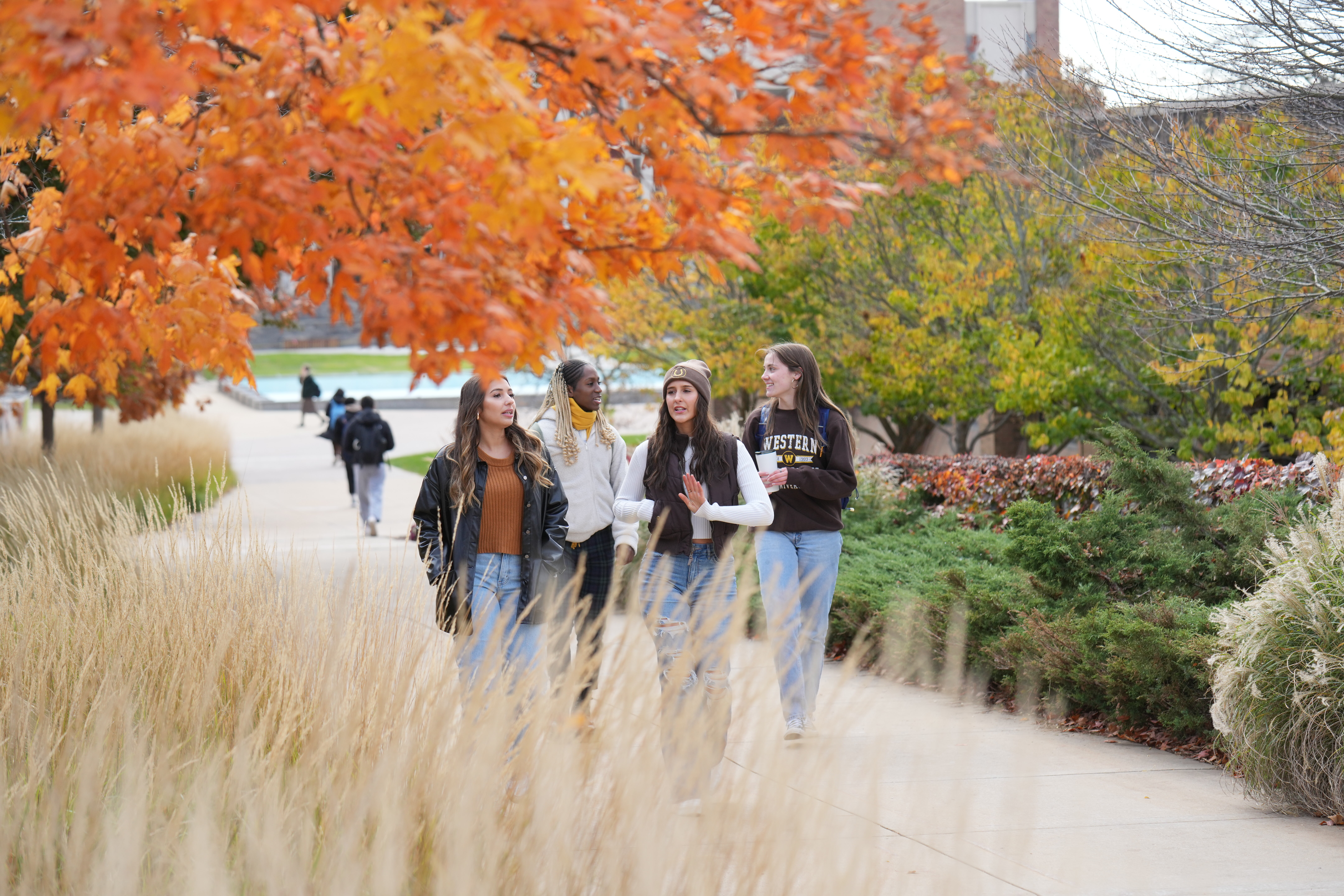 Group of WMU students walking during a lovely fall day.