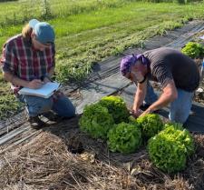 Bertman at Delano Farms