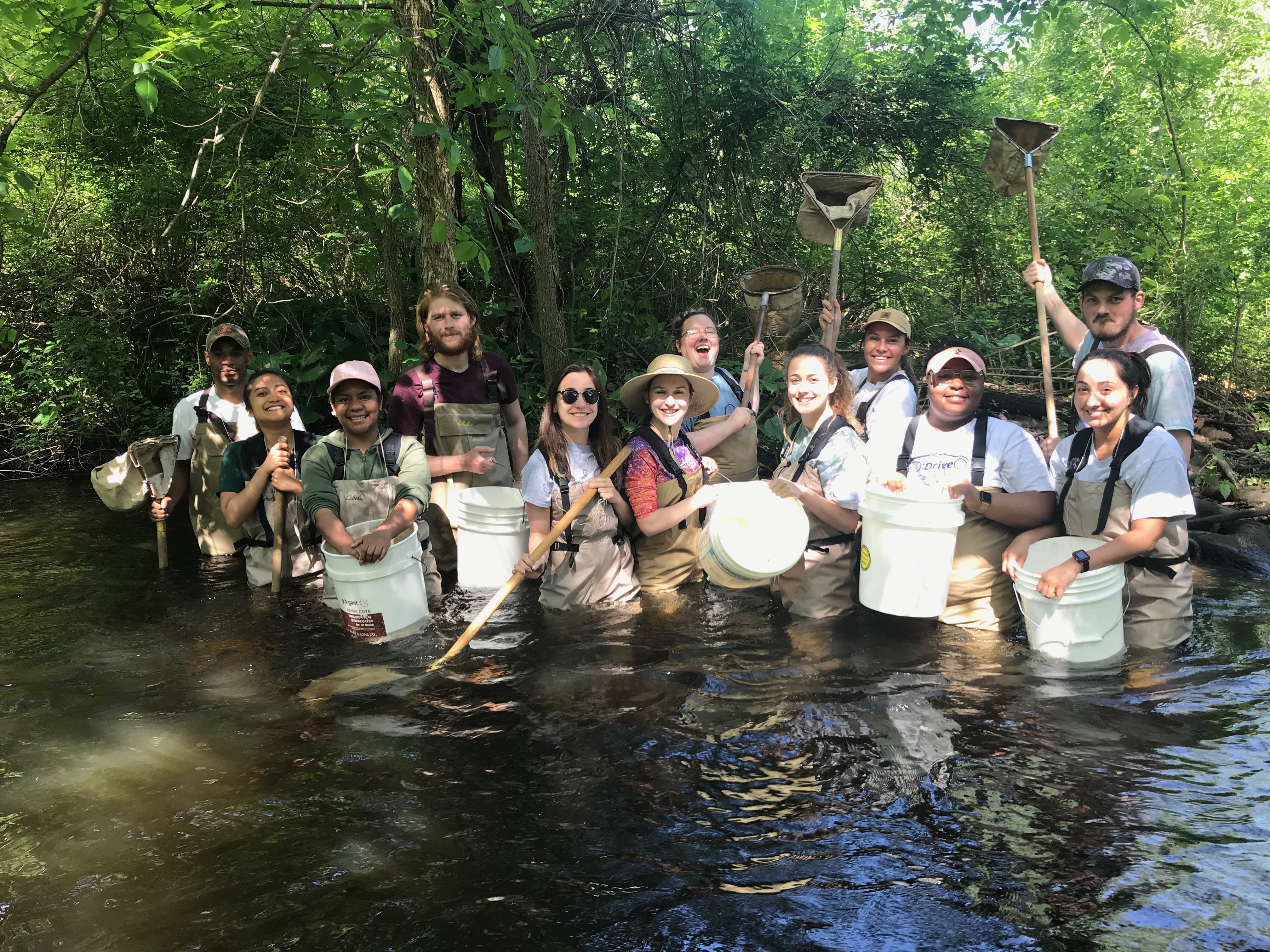 field ecology in river