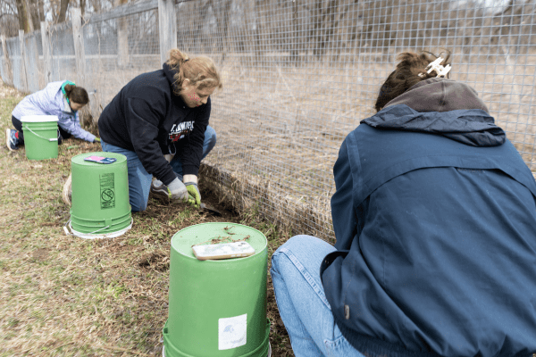 Three people crouch beside a wire fence, using garden tools to work the soil