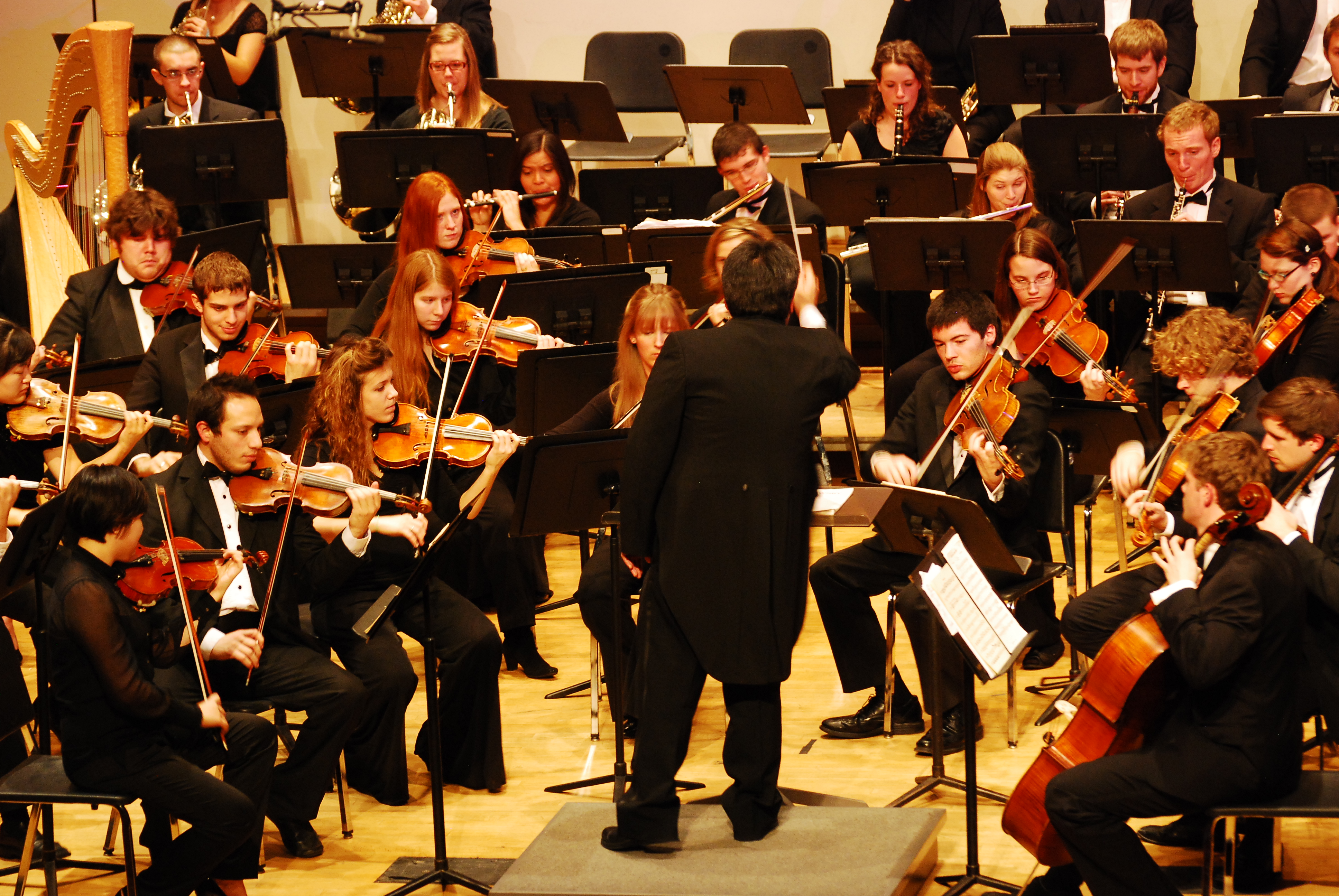 A symphony orchestra, mid-performance. Strings, woodwinds, brass, and harp all playing. and