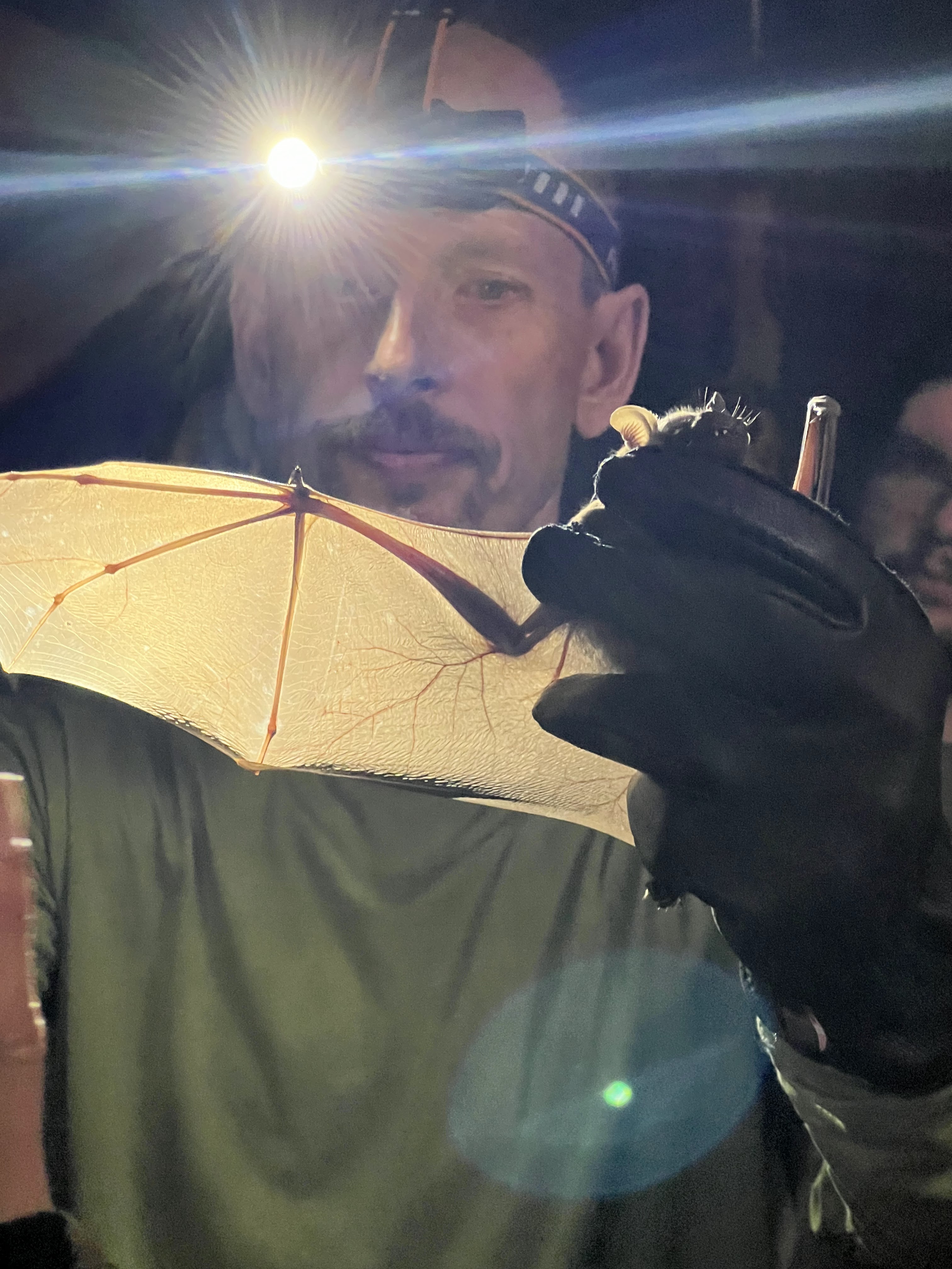 maarten vonhof holding bat belize 2024