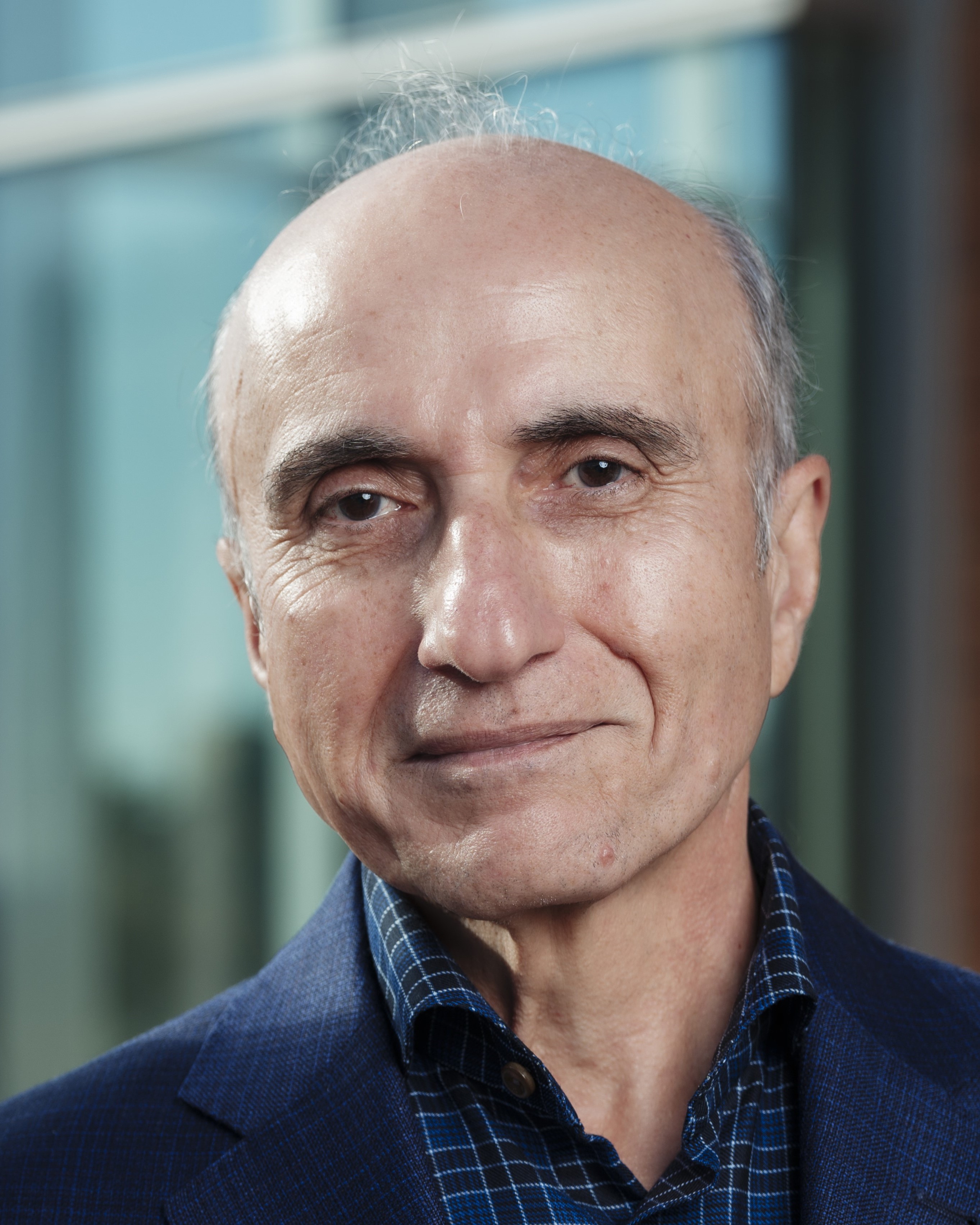 Bahman Hoveida