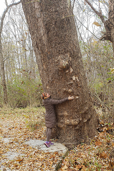 Lynne Heasley hugging tree