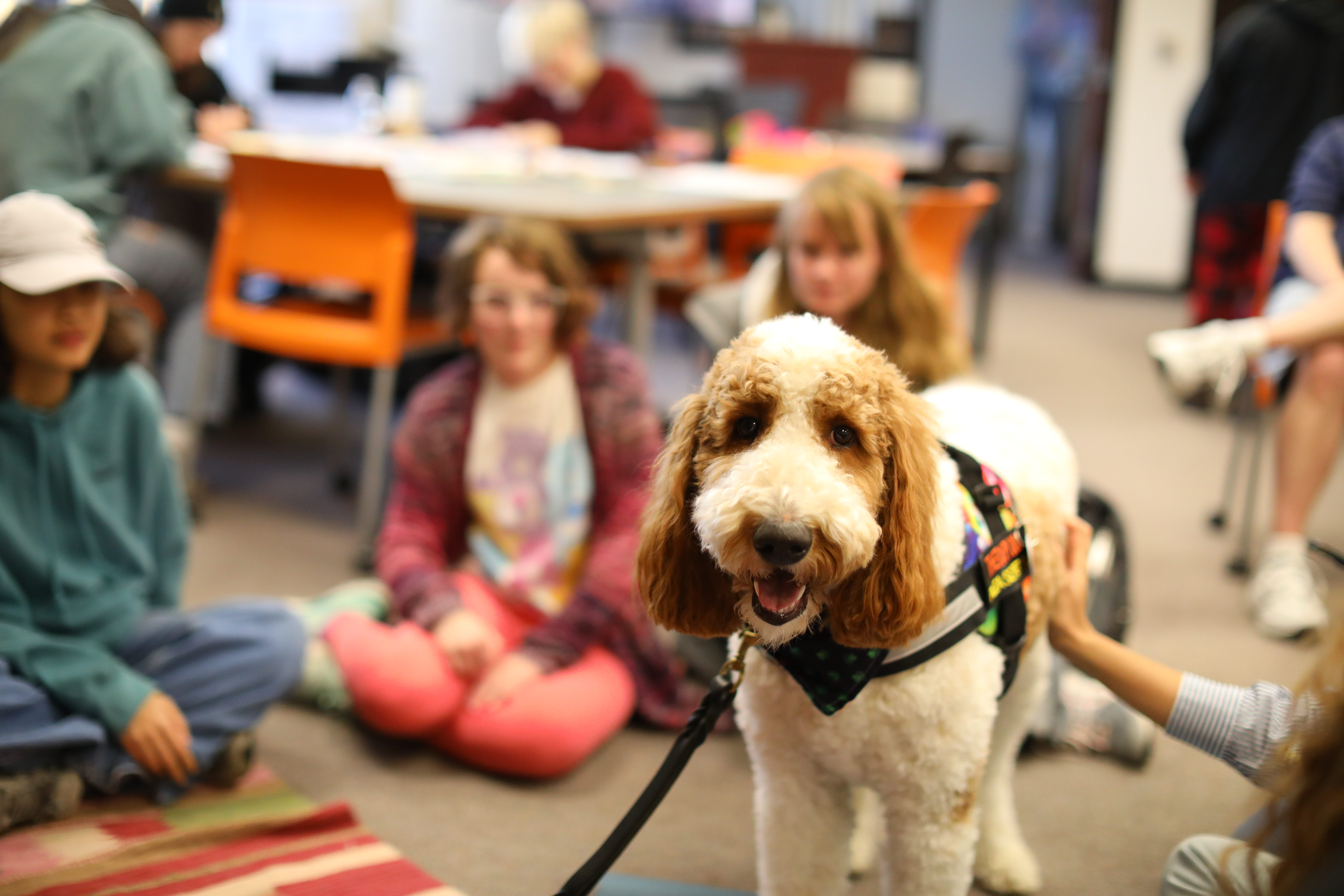 Therapy dogs with student sitting around it on the floor in Waldo Library lounge area.