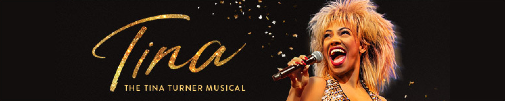 Tina the Musical