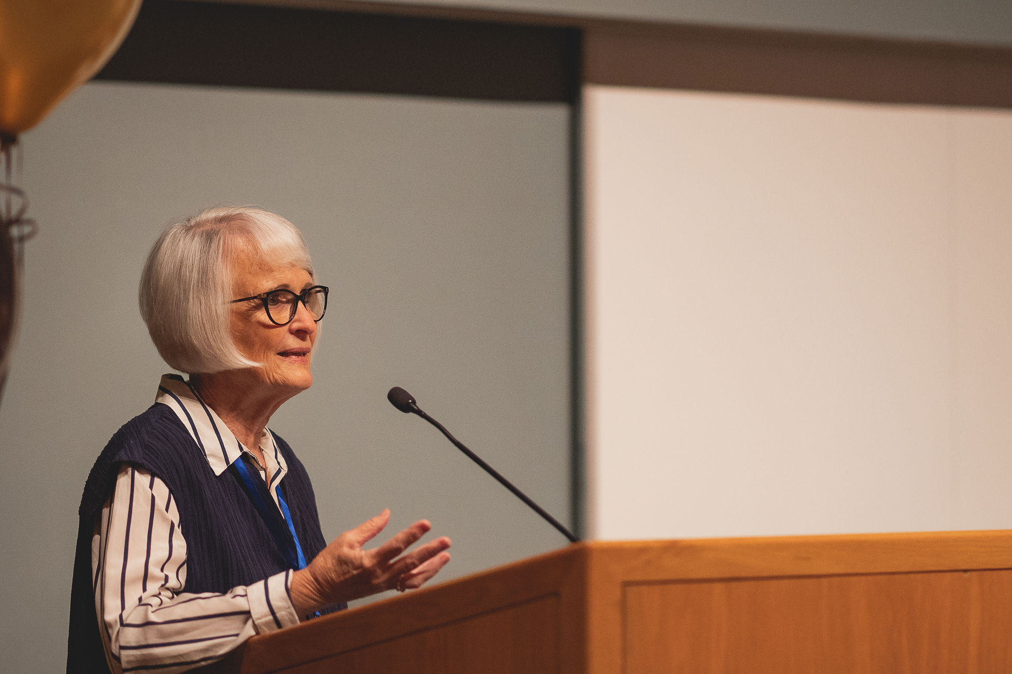 Judy Sivak 2025 Taste of OLLI