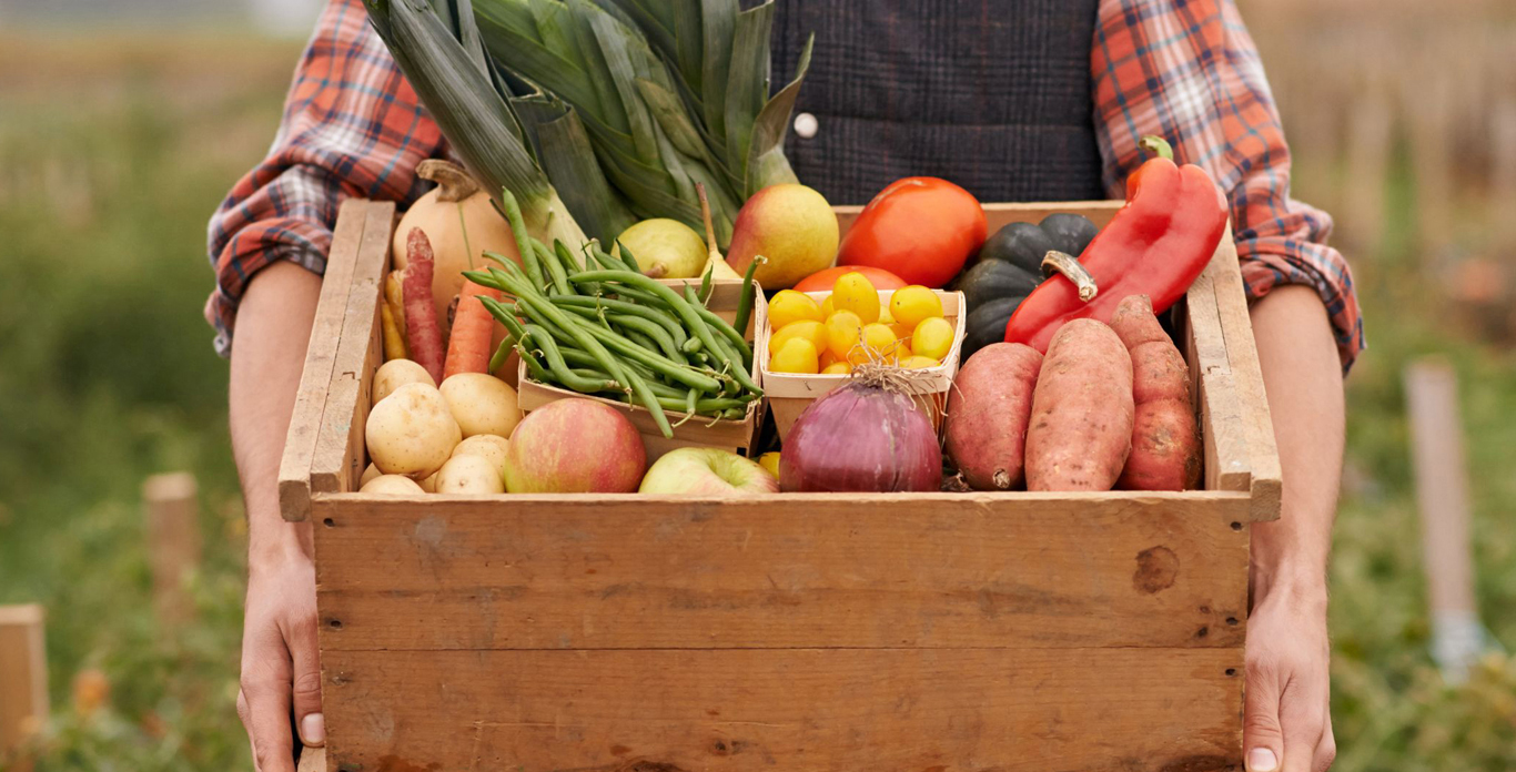 hands holding a crate of vegetables, green beans, potatoes, mini tomatoes, apples, onions, acorn squash and red peppers