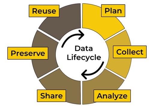 A circular diagram illustrating the data lifecycle with six stages arranged around the circle: Plan, Collect, Analyze, Share, Preserve, and Reuse. Arrows in the center indicate the cycle flows continuously clockwise.