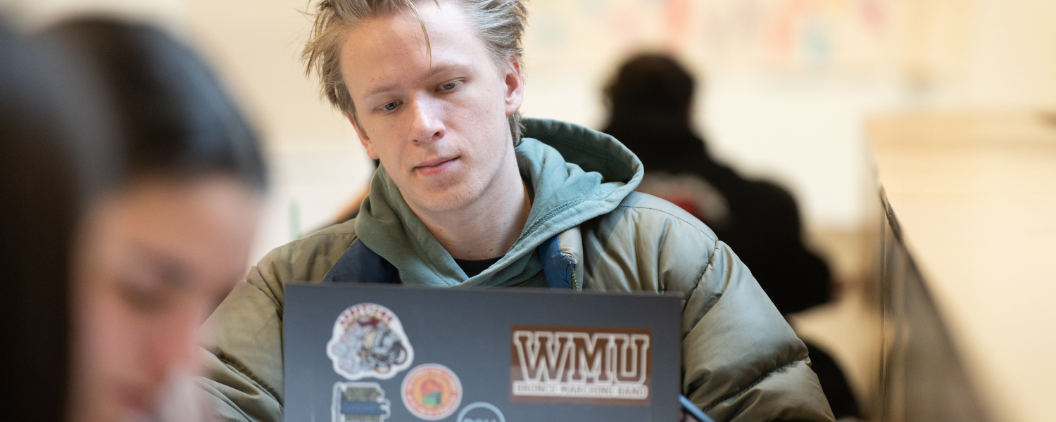 Male student looking at his laptop