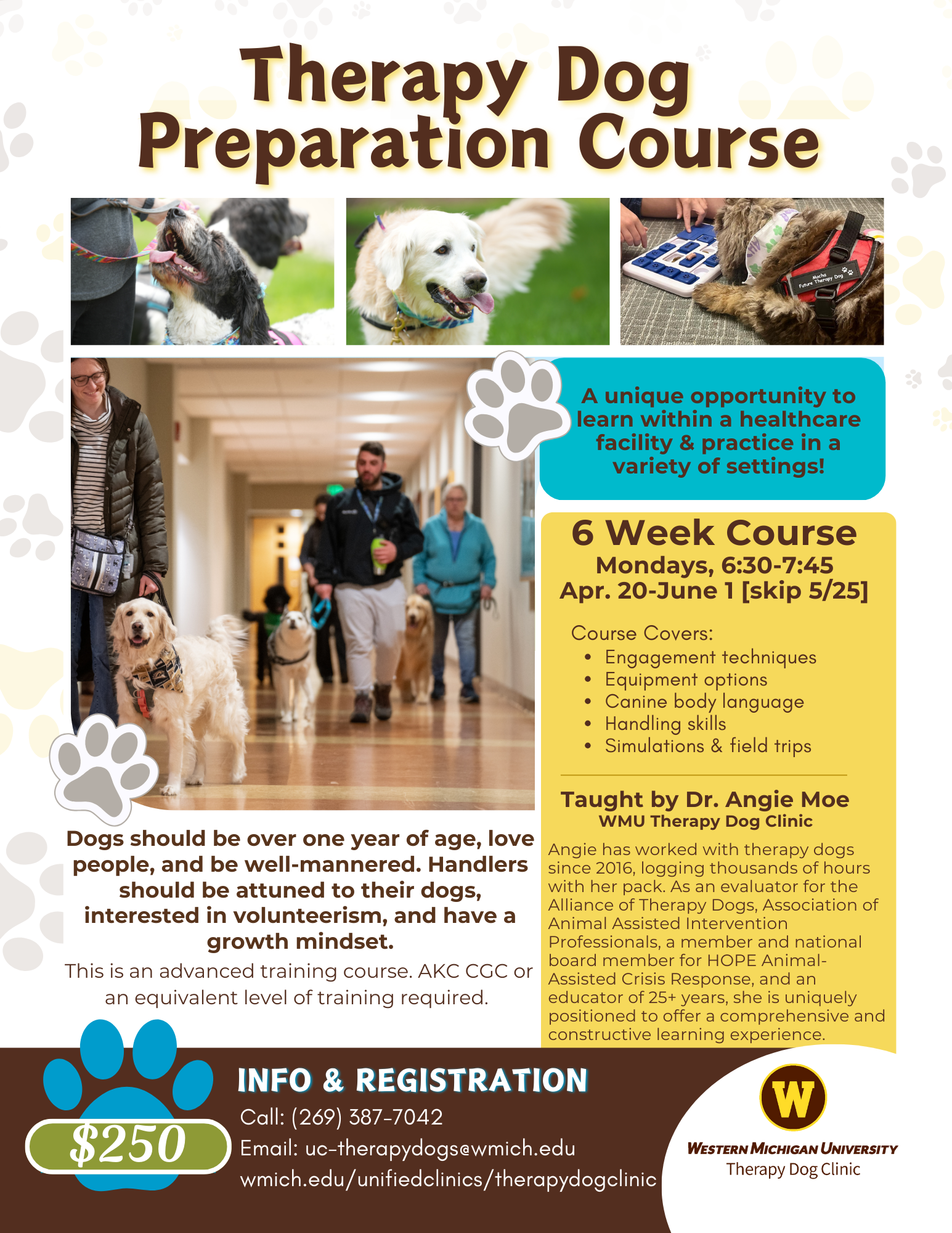 Therapy Dog Prep Class