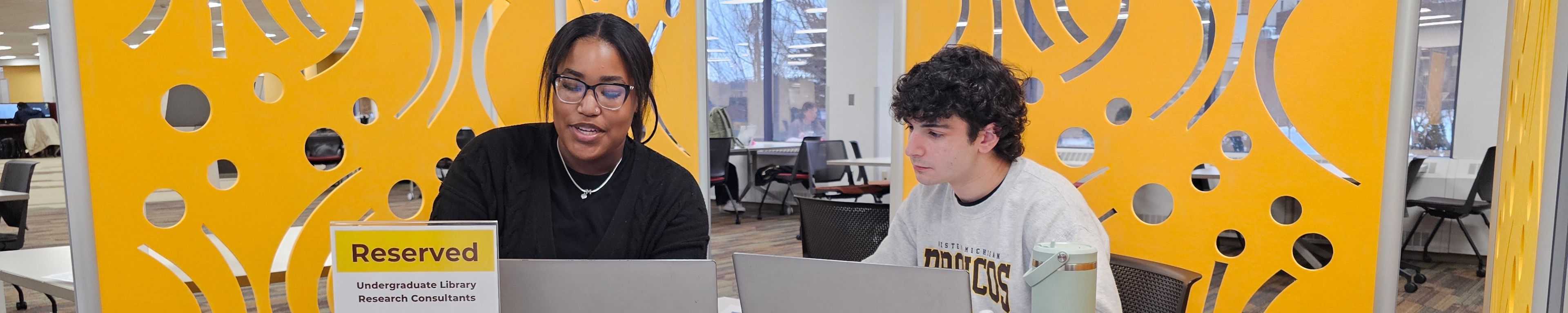 Student with undergraduate library research consultant at Waldo Library.