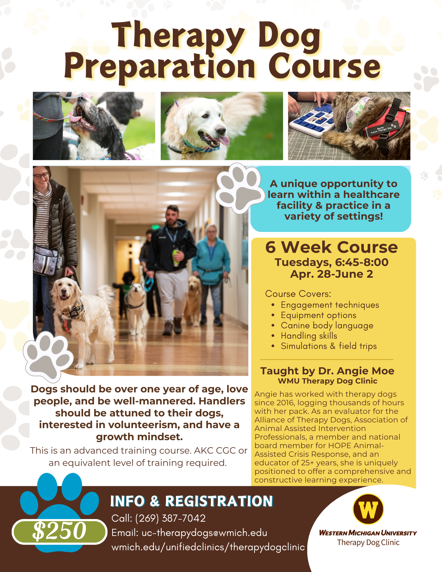 Therapy Dog Prep Class