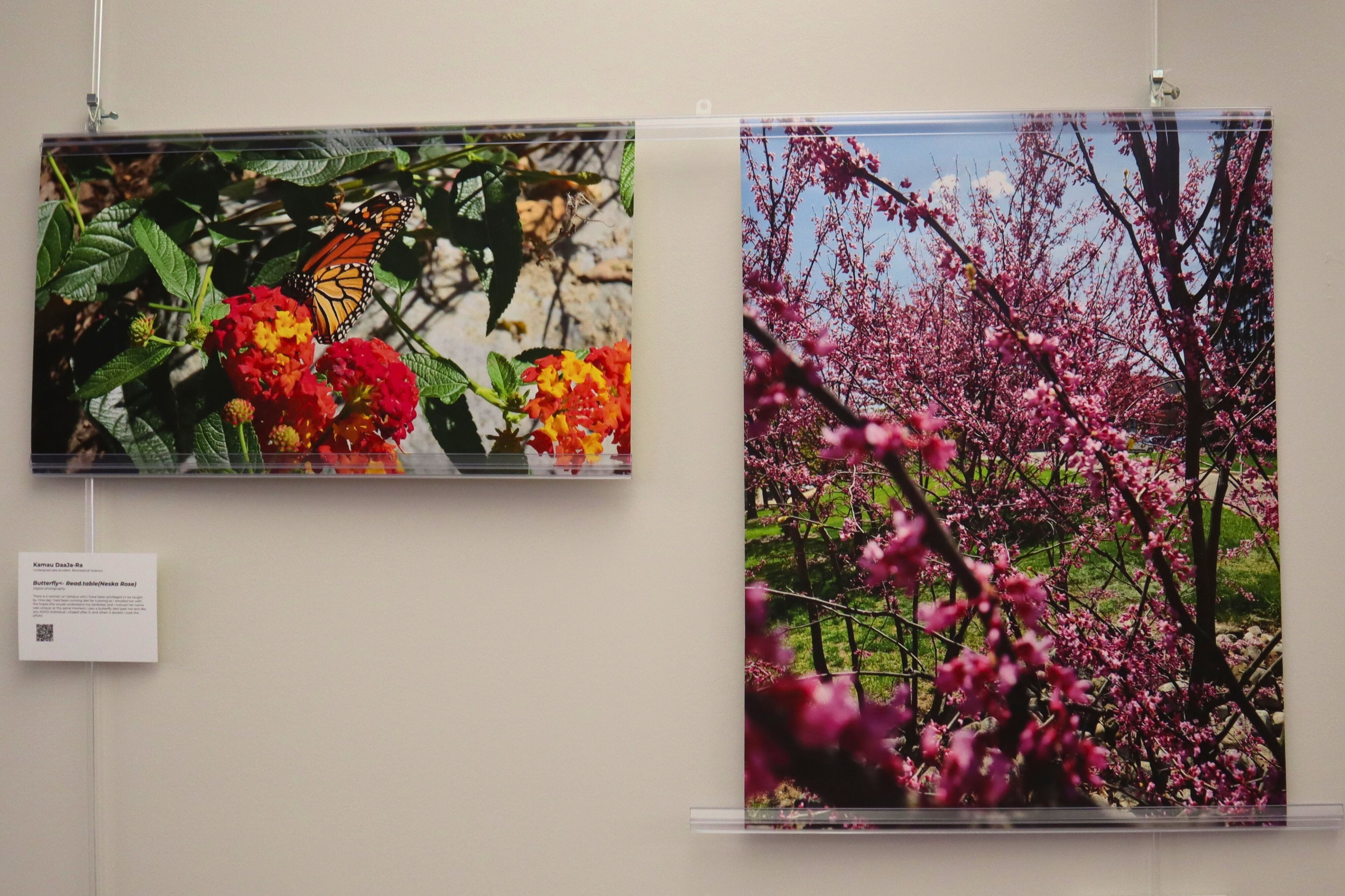 Artwork by Kamau DaaJa-Ra was featured in the spring 2026 Art and Research exhibit.