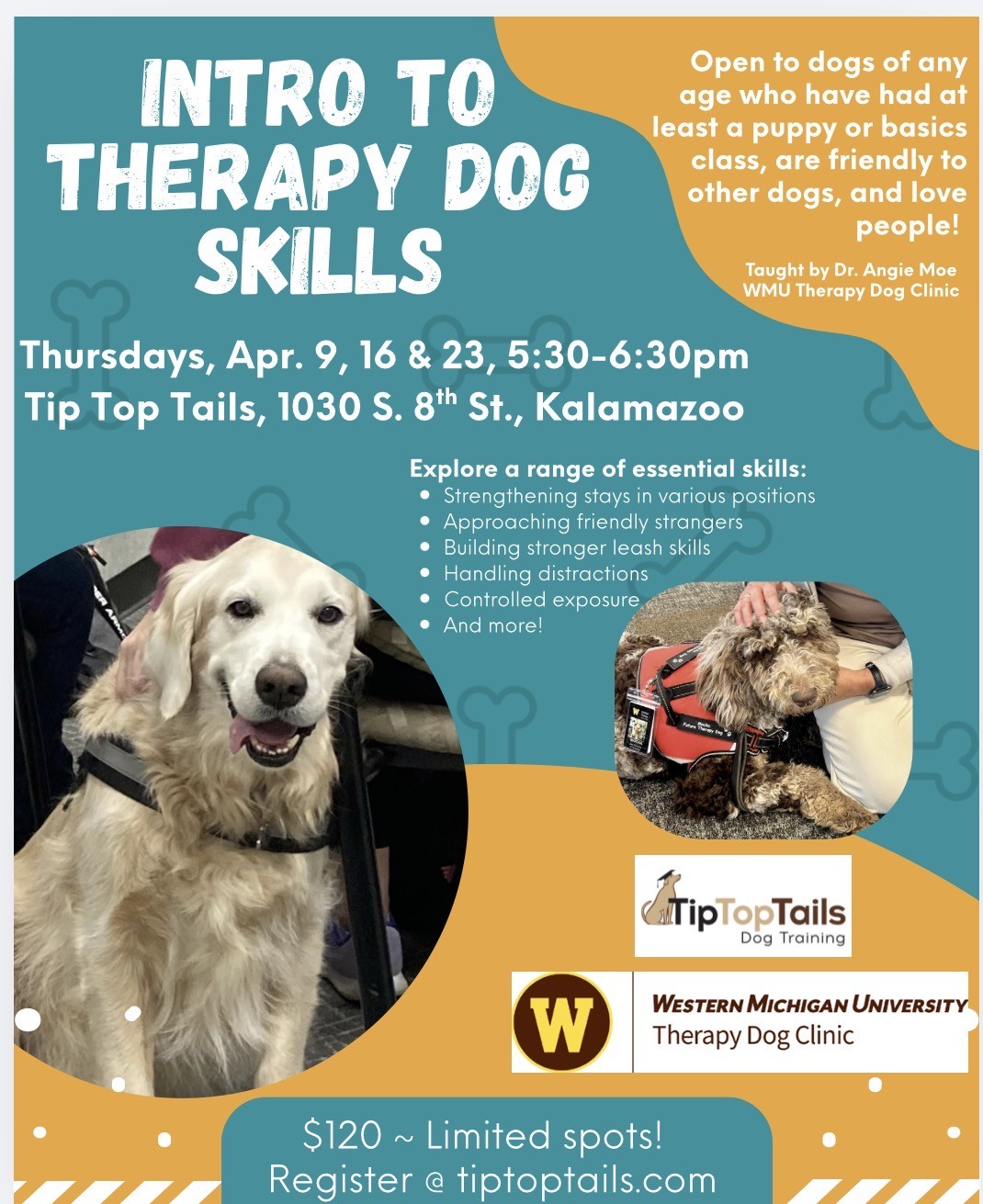 Intro to Therapy Dog Skills Class - Intermediate
