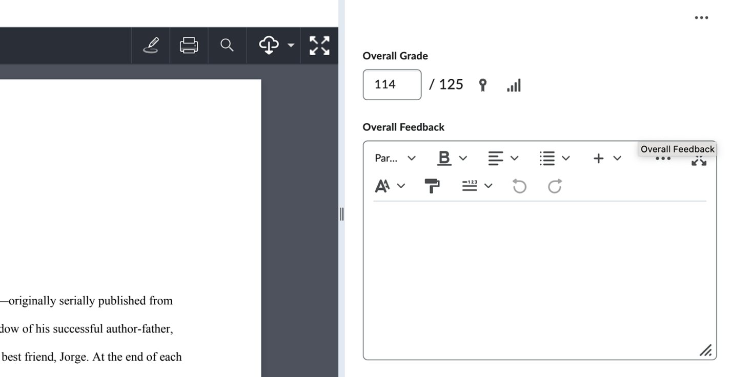 In the file a student submits, the text appears on the left, along with tools that can be used to mark up the text. Short comments can be placed in the box on the right.