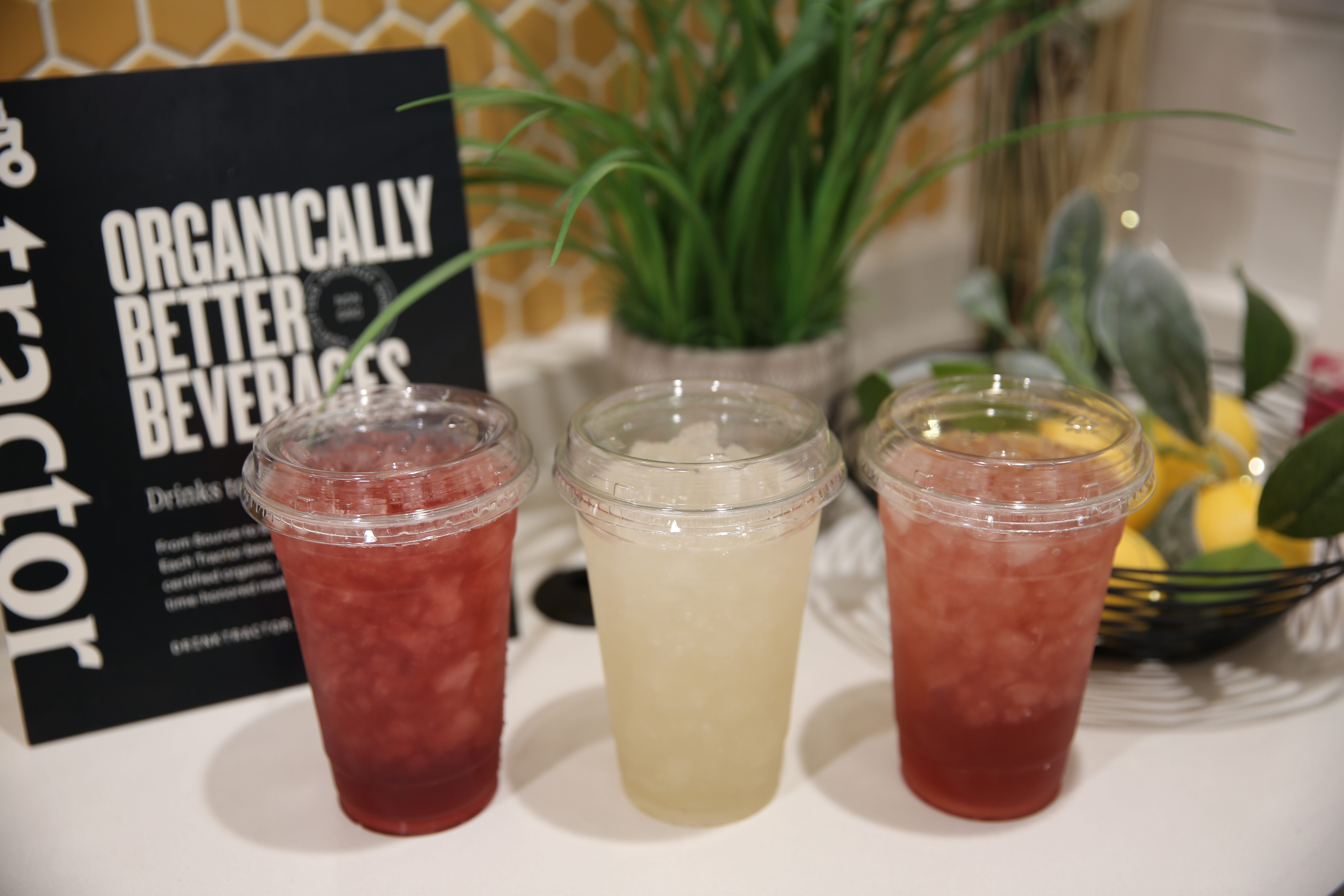 Three Tractor beverages in to-go cups sit on a decorated countertop with fake plants.