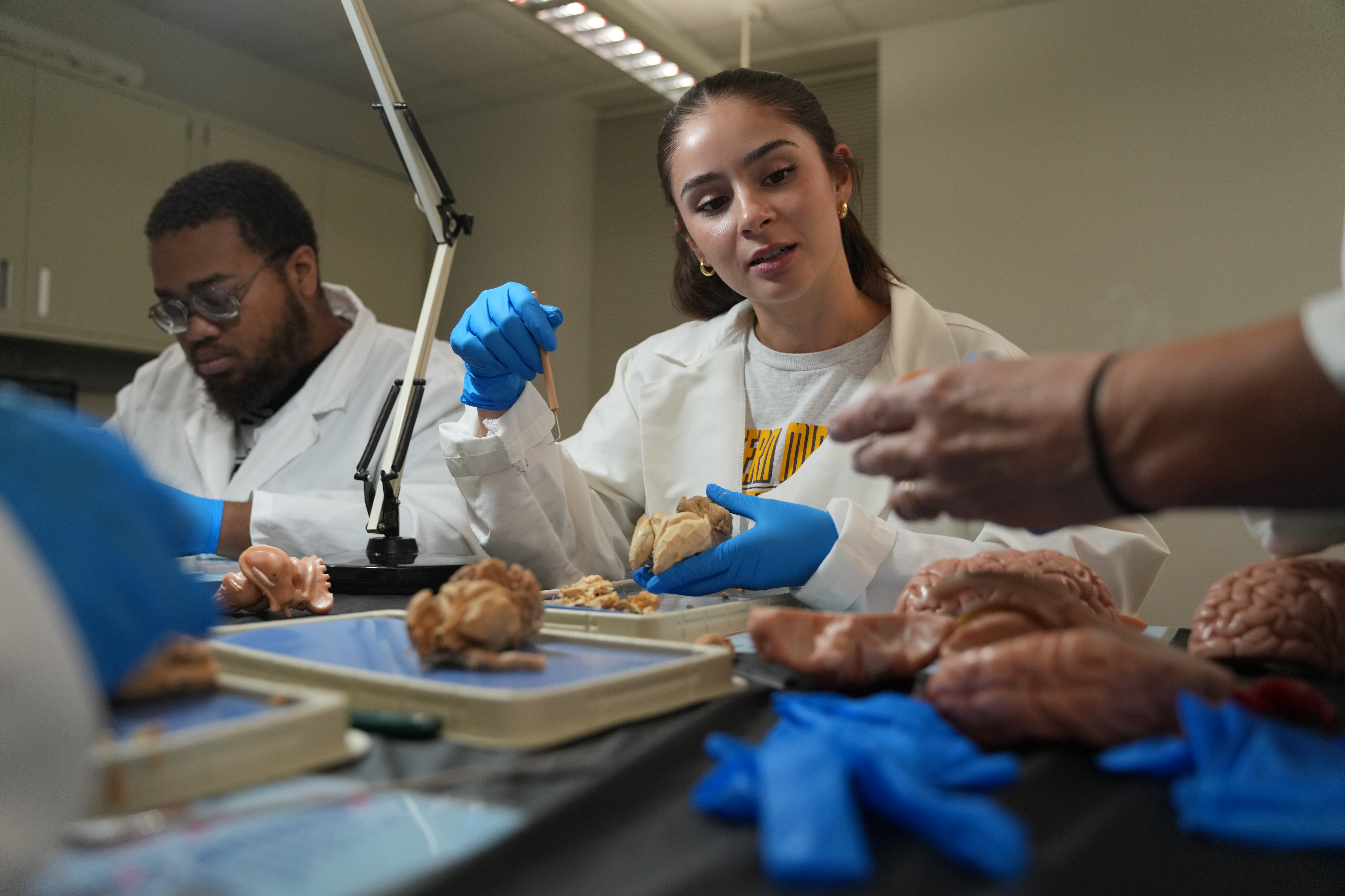 Students in a lab learning about the human body.