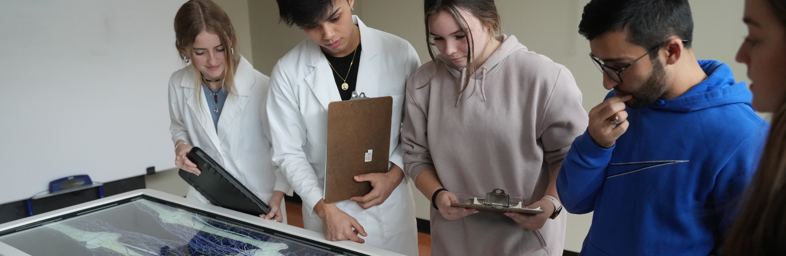 PA students working on a project