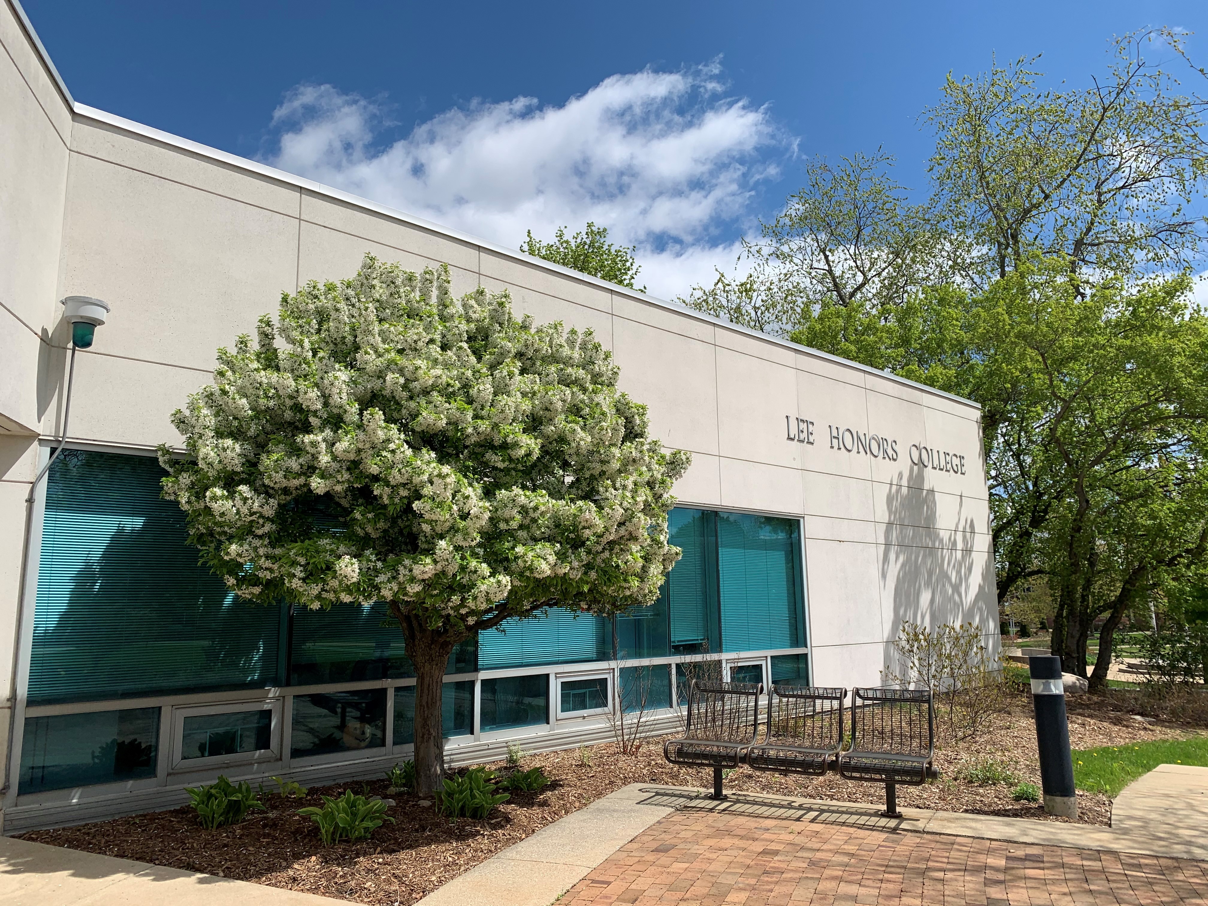 The Lee Honors College building exterior in spring.