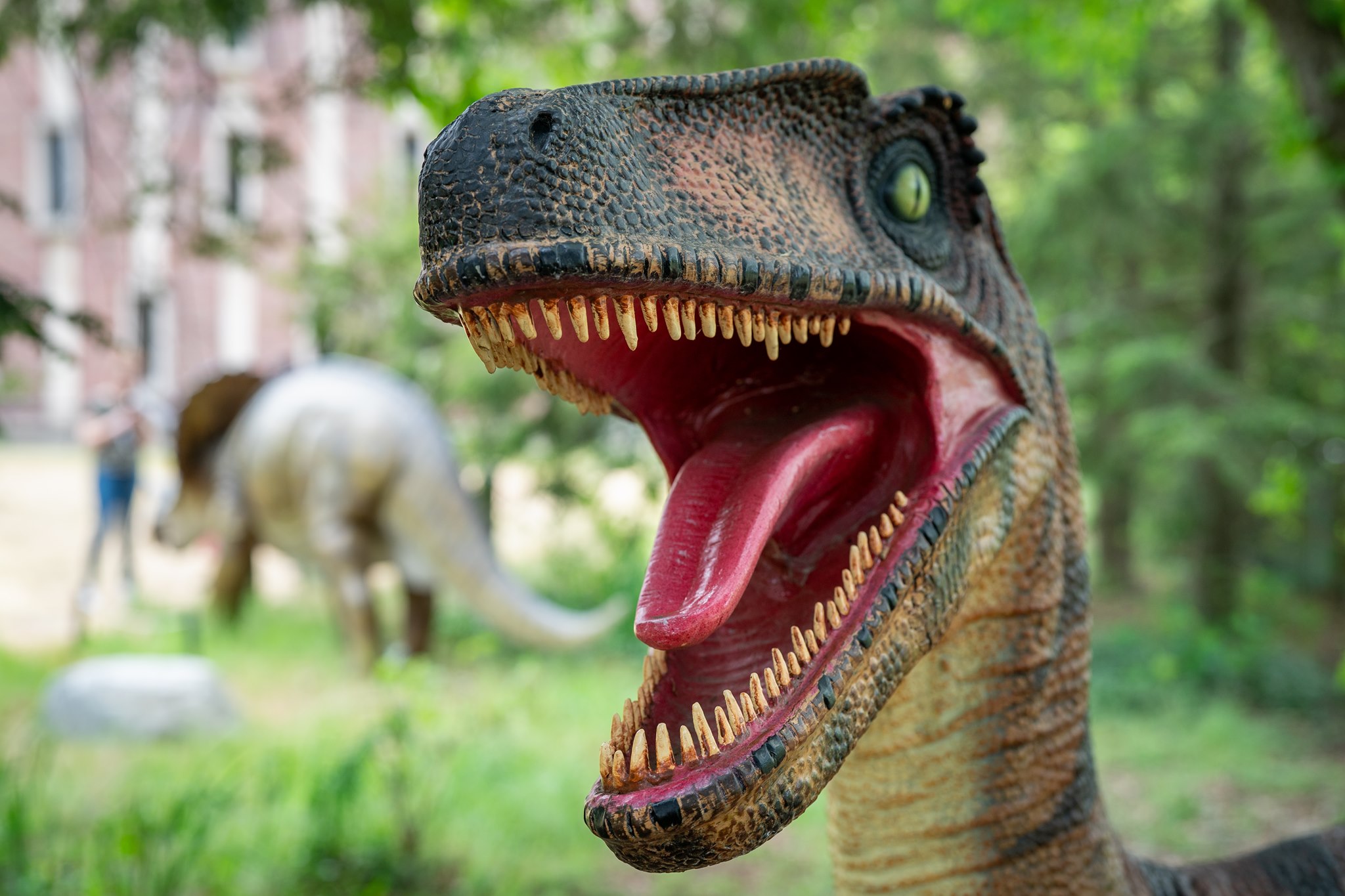 Utahraptor in the dinosaur park behind the honors college.