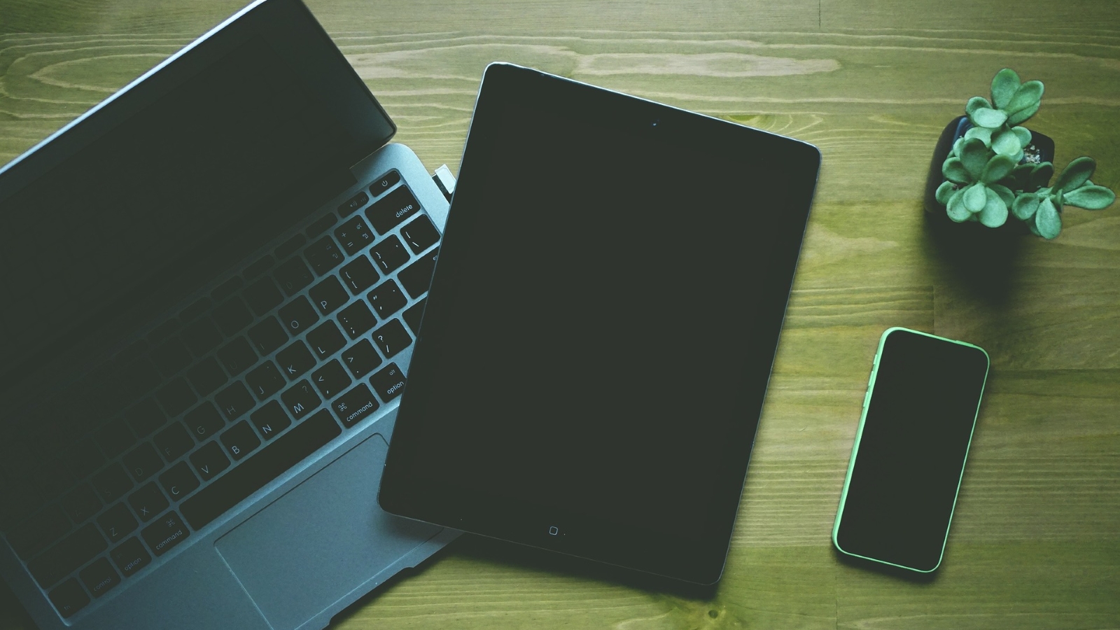 Laptop, tablet and mobile phone on a green desk along with a small plant.