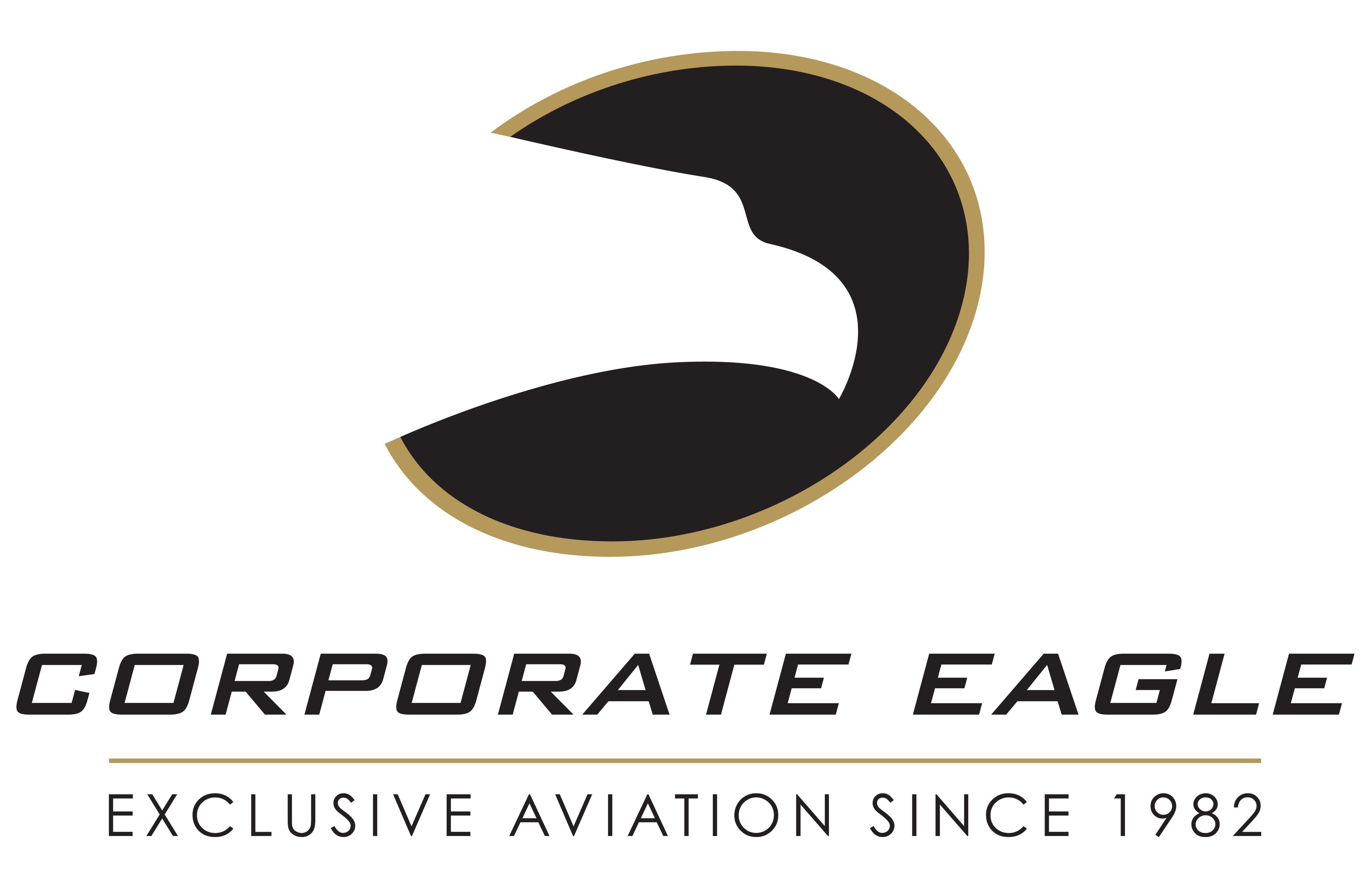 Corporate Eagle Flight Department Logo