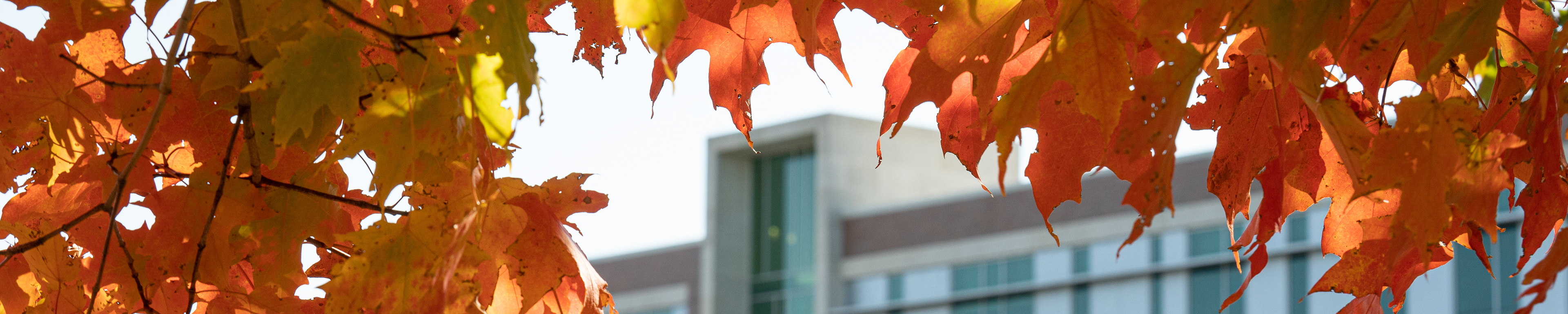 Page banner: Scenic view of Sangren Hall on WMU campus