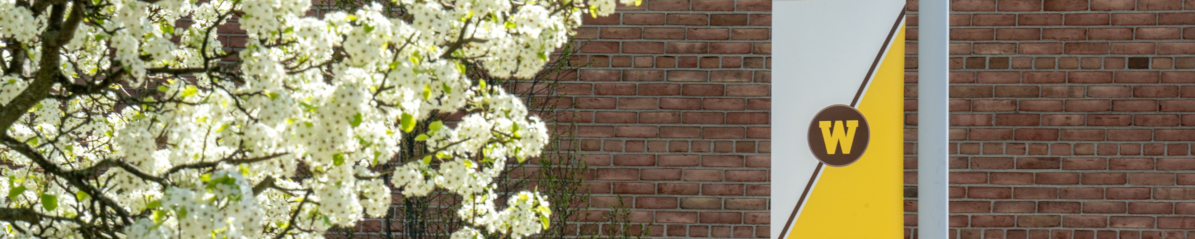 Page banner: Scenic view of WMU campus