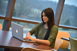 Student sitting at a desk working on a laptop.