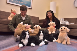 Two students interact with robot puppies and kittens.