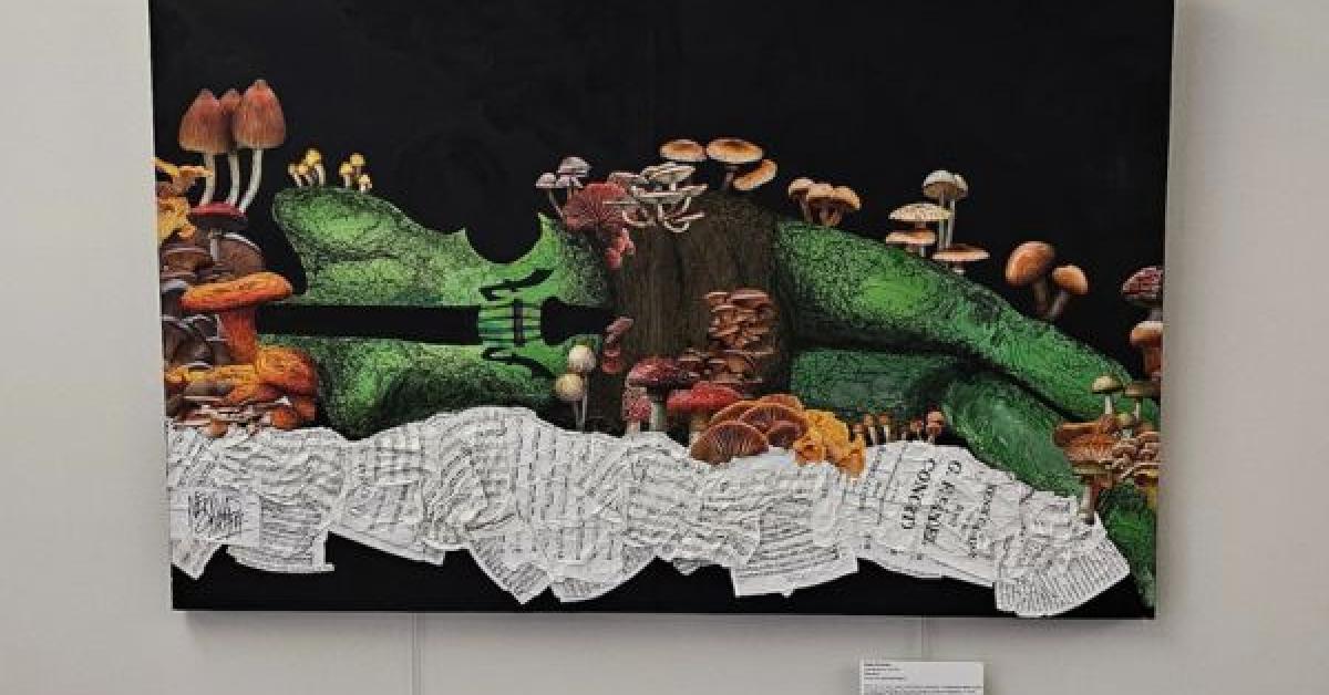 Spring 2025 student exhibit | University Libraries | Western