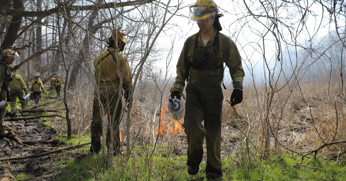 Updated status is delayed: Asylum Lake Preserve to undergo a