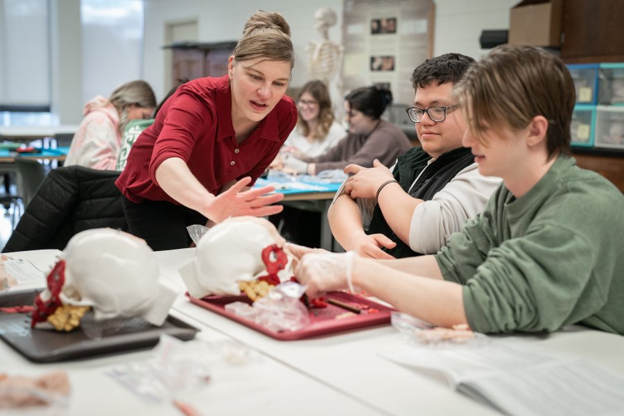 Students in a forensic anthropology lab with Michelle Hrivnyak