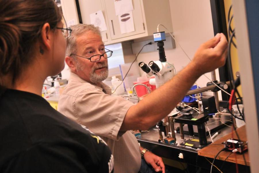 bio fac lab