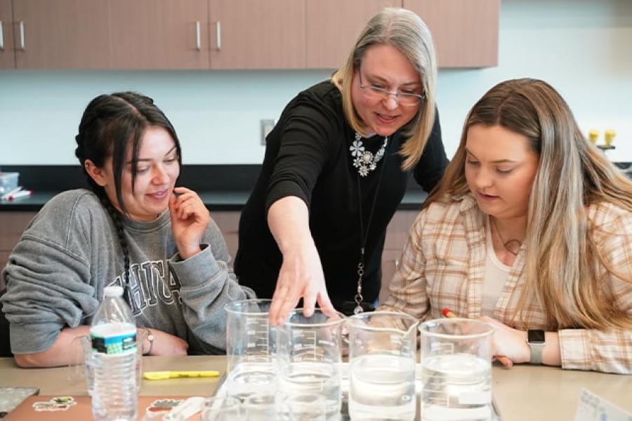 A chemistry professor instructing two students during a project-based activity. 