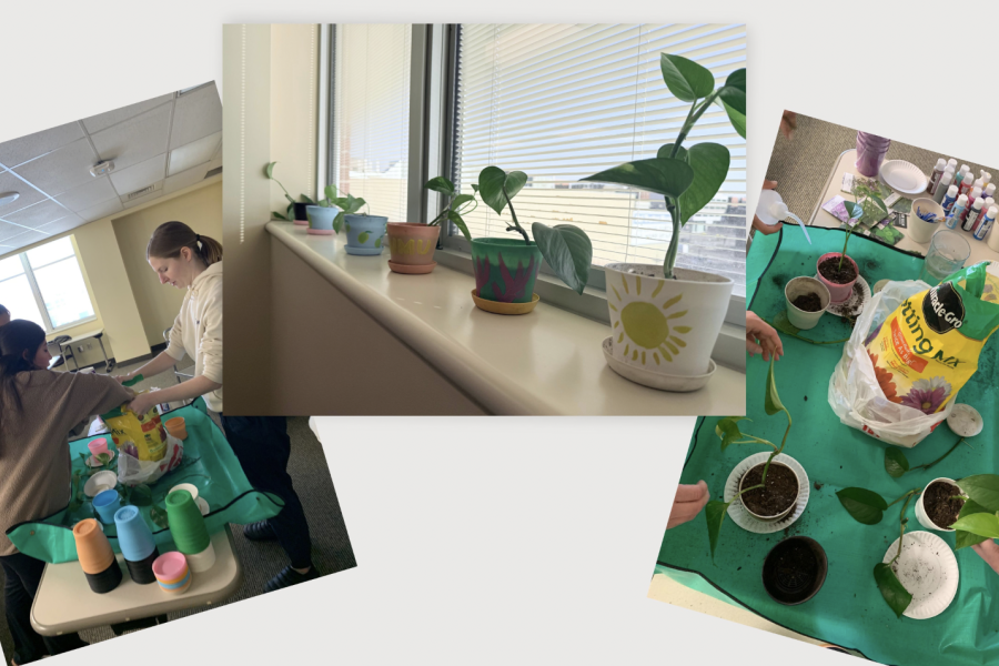 Image of OT students gardening