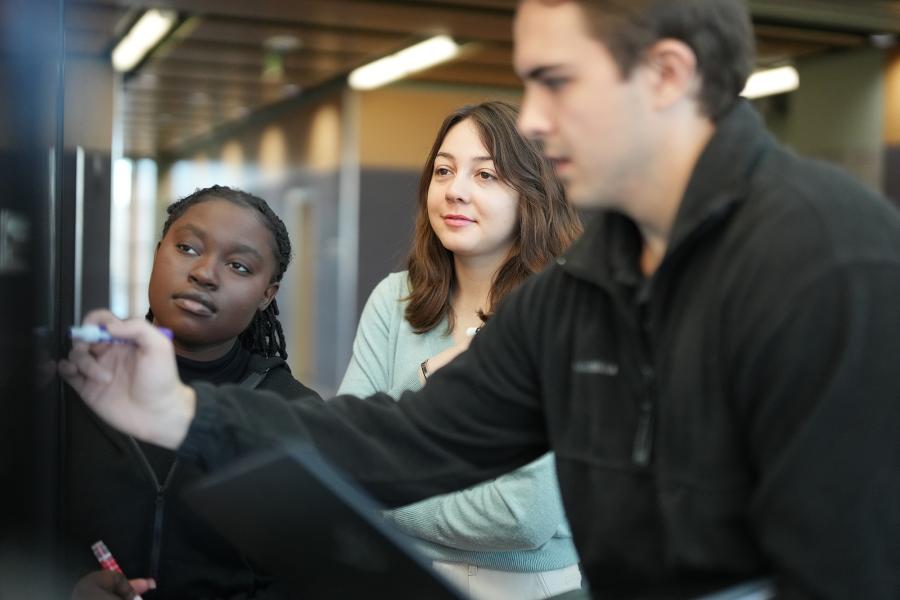 Cyber security students working together.