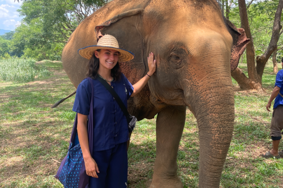 Presley thailand
