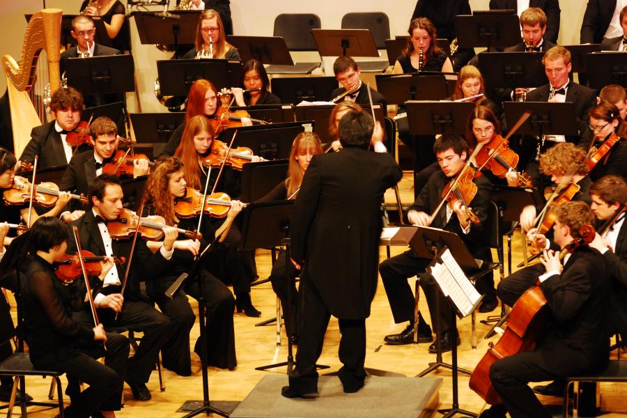 A symphony orchestra, mid-performance. Strings, woodwinds, brass, and harp all playing. and 
