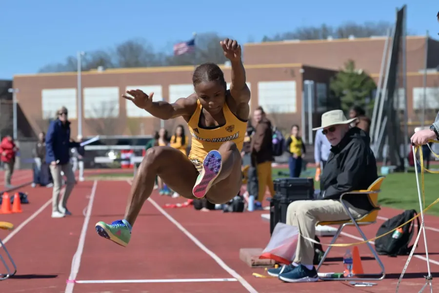 track hurdle