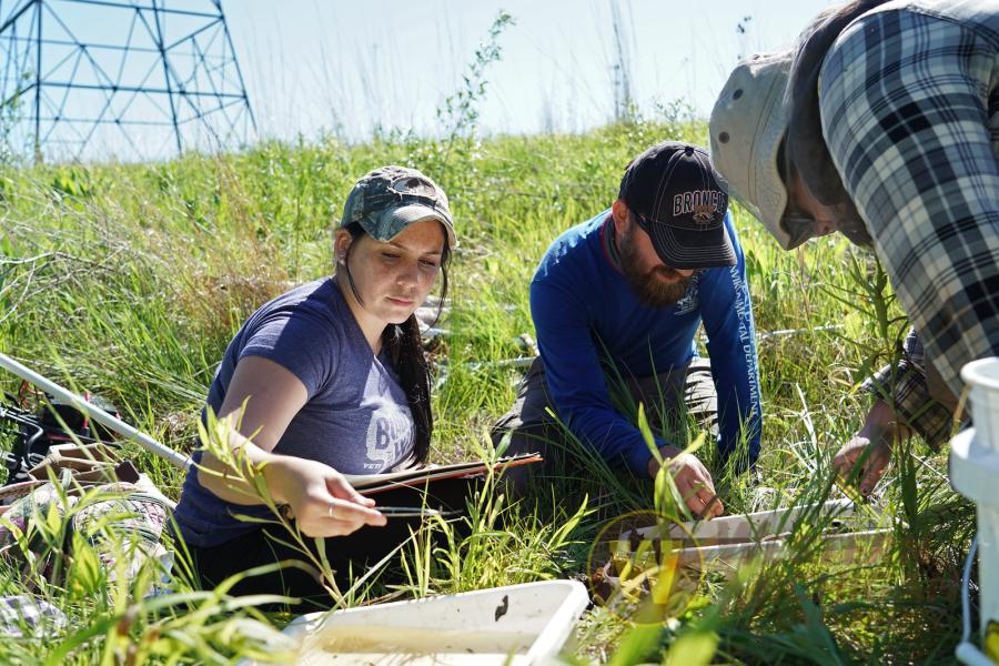 Service learning