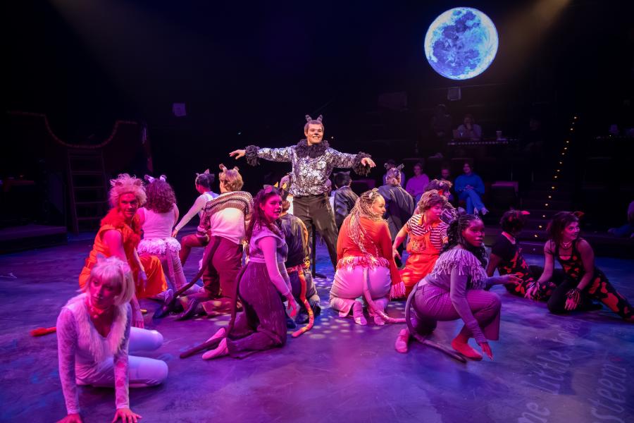 Actors in the play "Cats" on stage.